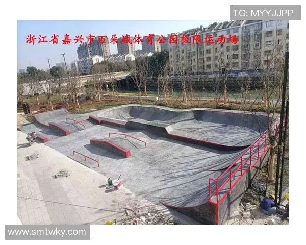 深圳极限运动队意识表现的数据分析与研究探讨