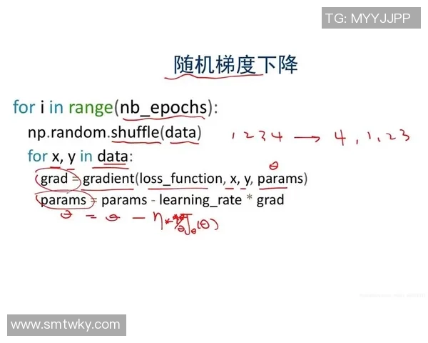 深圳篮球队运营分析：成功经验与面临挑战的深度探讨